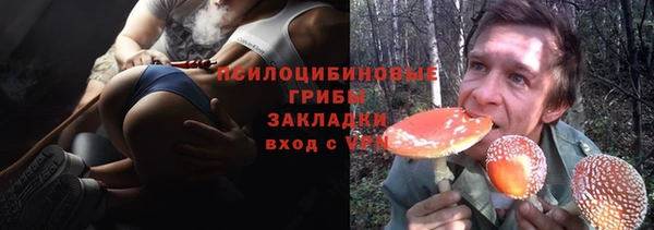 соль ск Алзамай