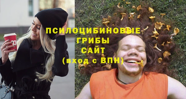 ALPHA PVP Алексеевка