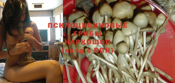 прущая мука Аркадак